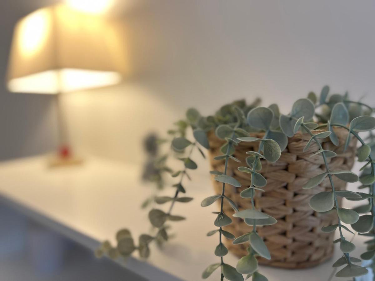 T3 Centre Avec Terrasse + Parking Apartment Toulouse